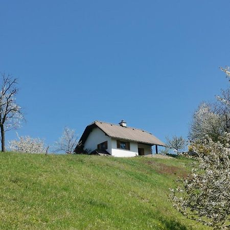 Apartma Pusa Pesnica pri Mariboru Exterior photo