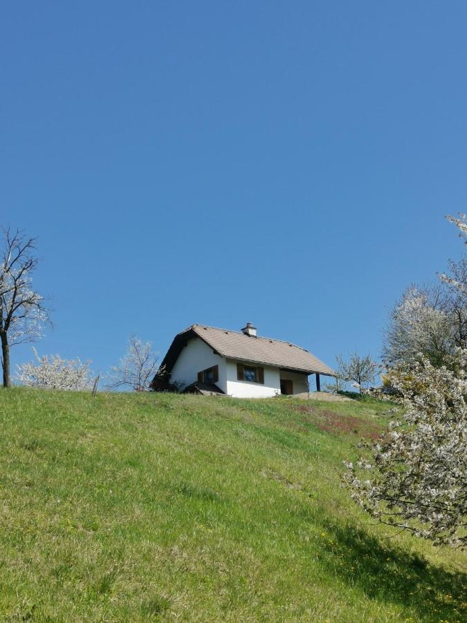 Apartma Pusa Pesnica pri Mariboru Exterior photo